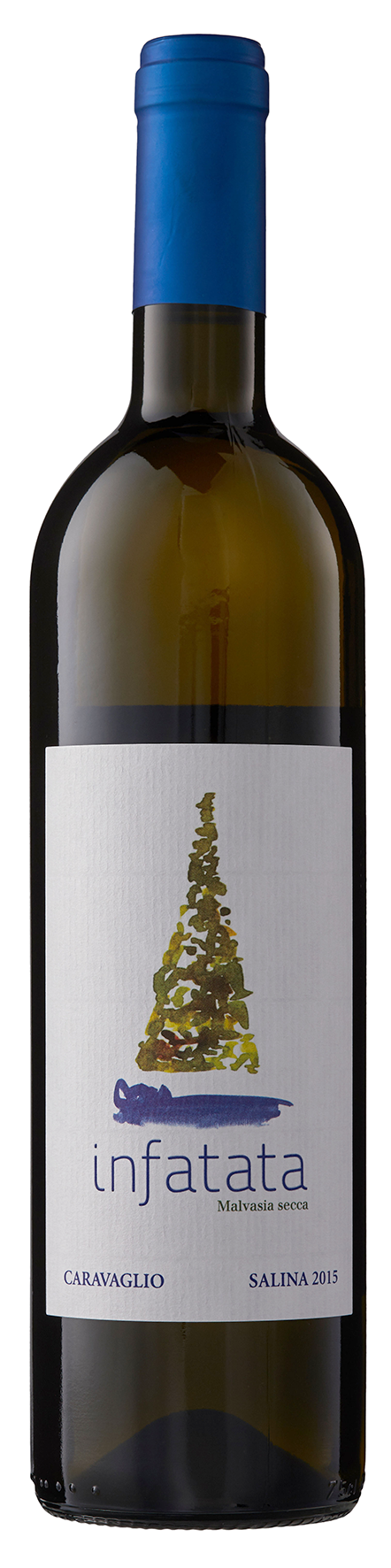Infatata Salina Bianco 2019