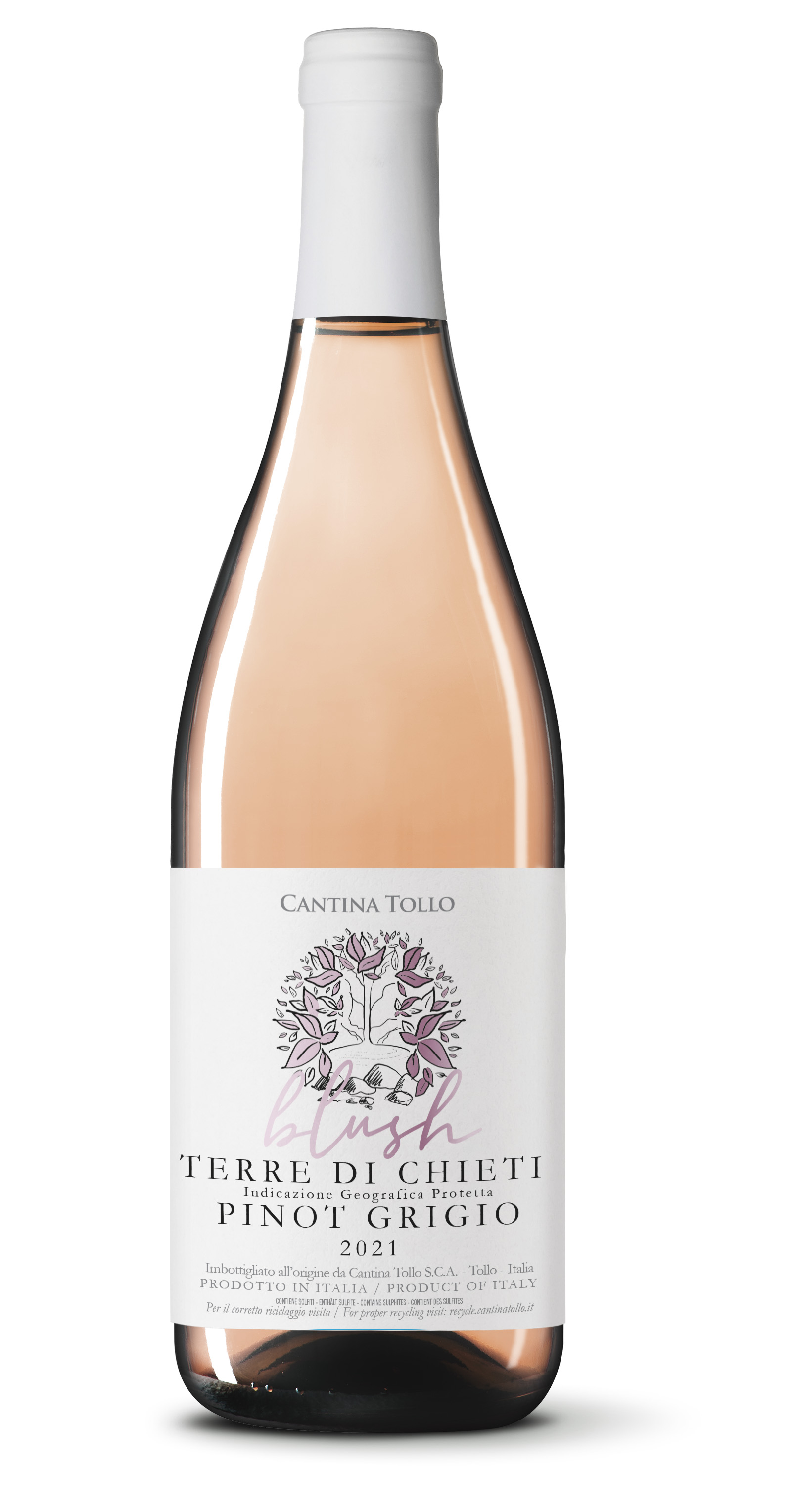 Pinot Blush 2024